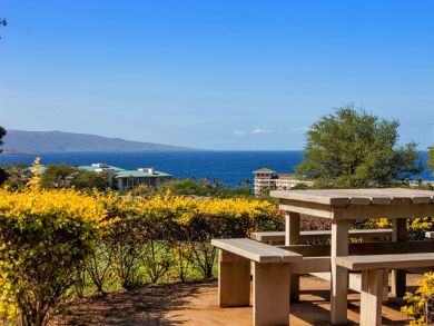 Wailea Condo 878529